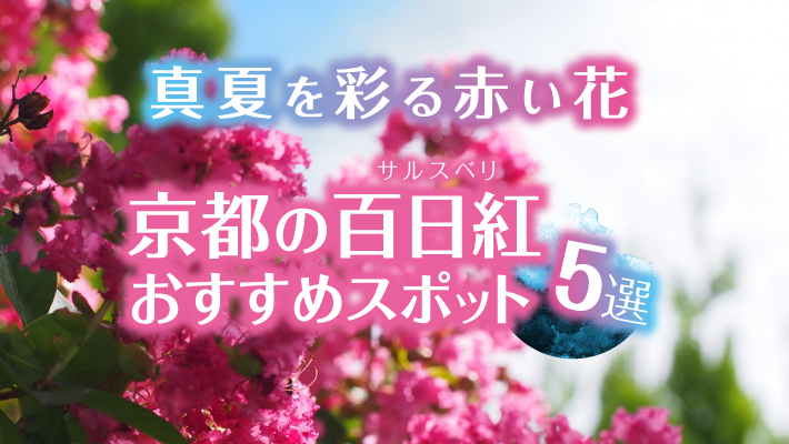 真夏を彩る赤い花、京都の百日紅（サルスベリ）おすすめスポット5選