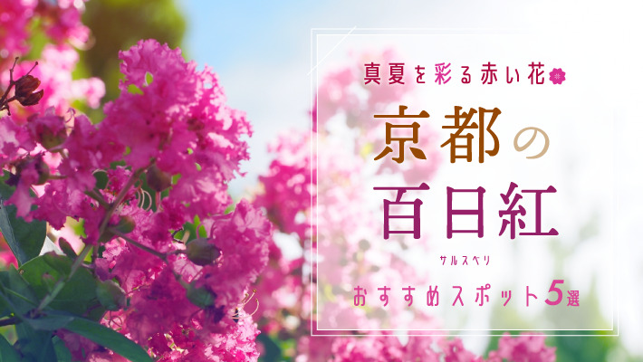 真夏を彩る赤い花、京都の百日紅（サルスベリ）おすすめスポット5選
