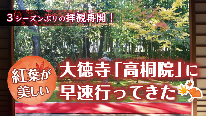 3シーズンぶりの拝観再開!紅葉が美しい大徳寺「高桐院」に早速行ってきた
