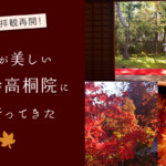 ３シーズンぶりの拝観再開！紅葉が美しい大徳寺「高桐院」に早速行ってきた