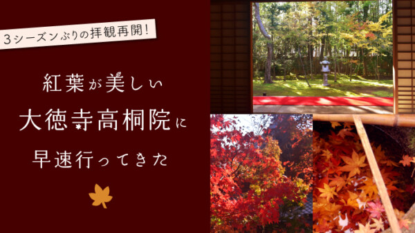 ３シーズンぶりの拝観再開！紅葉が美しい大徳寺「高桐院」に早速行ってきた