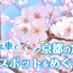 春の京都はサイクリングで！定番の桜スポットをめぐる自転車旅におすすめのモデルコース