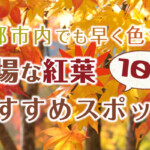 京都市内でも早い11月中旬に見頃を迎える穴場な紅葉おすすめスポット10選