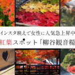 インスタ映えで女性に人気急上昇中な京都の紅葉スポット「柳谷観音楊谷寺」