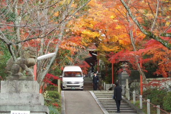 粟田神社・参道の紅葉とジャンボ　見頃過ぎ　2015年12月9日　撮影：MKタクシー