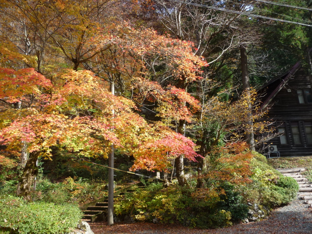 芦生研究林事務所 2009年11月15日 撮影:MKタクシー
