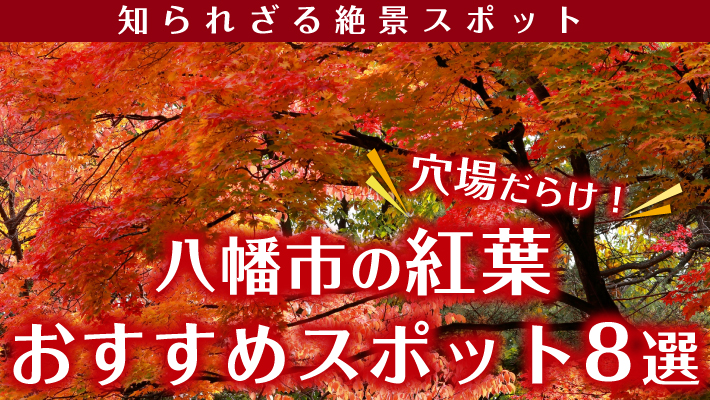 知られざる絶景スポットの穴場だらけ 八幡市の紅葉おすすめスポット８選 Mkメディア