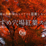 秋の京都・東山エリアでも混雑しないおすすめ穴場紅葉スポット６選