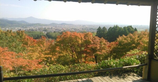 大河内山荘・展望台からの紅葉と京都盆地遠望　色づきはじめ　2016年10月19日　撮影：MKタクシー