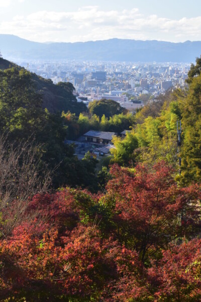 清閑寺・要石からの眺望と紅葉　見頃　2020年12月2日　撮影：MKタクシー