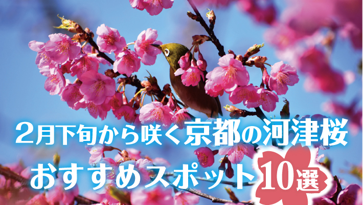 京都で2月に開花する早咲きの河津桜（カワヅザクラ）おすすめスポット10選