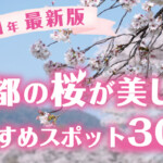 【2021年最新版】京都の桜が美しいおすすめスポット30選