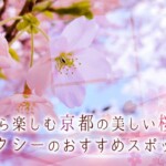 車窓から楽しむ京都の美しい桜並木！MKタクシーのおすすめスポット9選
