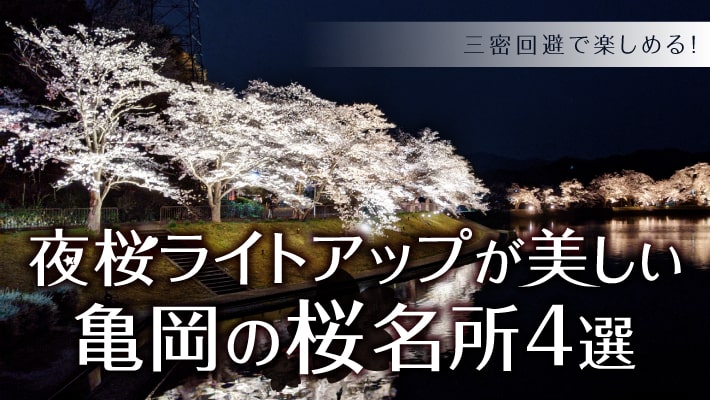 七谷川や平の沢池も 夜桜ライトアップが美しい亀岡の桜名所４選 Mkメディア