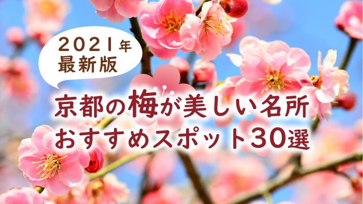 21年最新版 京都の梅が美しい名所おすすめスポット30選 Mkメディア