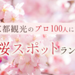京都観光のプロ100人に聞く！おすすめ桜スポットランキング