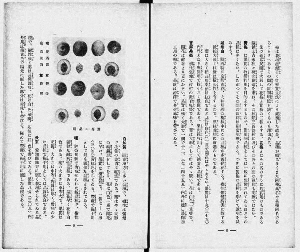 1939年奈良県月瀬青年学校「梅の栽培と加工」　出典：国立国会デジタル図書館