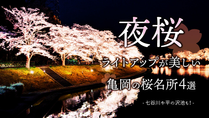七谷川や平の沢池も！夜桜ライトアップが美しい亀岡の桜名所４選