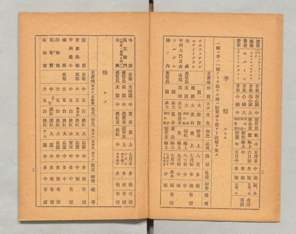 1927年農林省園芸試験場発行「果樹蔬菜品種一覧表」　出典：国立国会デジタル図書館