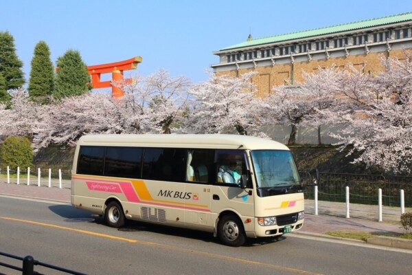 MK観光バスと桜並木　2018年3月28日　撮影：MKタクシー
