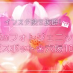 インスタ映え抜群！京都のフォトジェニックな桜スポット穴場10選