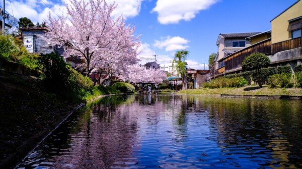 2020年4月6日 撮影:MKタクシー
