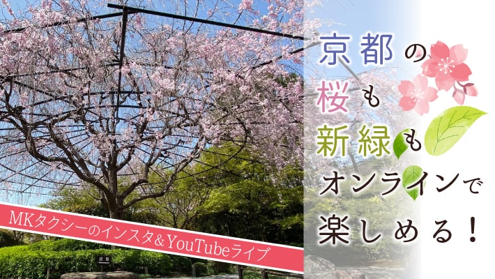 京都の桜も新緑もオンラインで楽しめる!MKタクシーのインスタ&YouTubeライブ