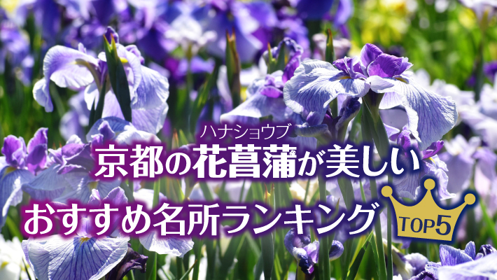 京都の花菖蒲 ハナショウブ が美しいおすすめ名所ランキングtop5 Mkメディア