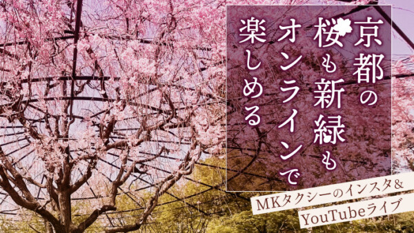 京都の桜も新緑もオンラインで楽しめる！MKタクシーのインスタ＆YouTubeライブ