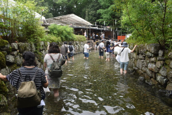 下鴨神社　2019年7月20日　撮影：MKタクシー