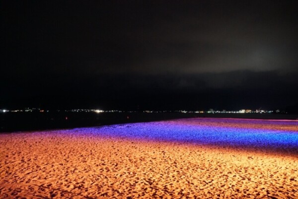 天橋立 砂浜ライトアップ　2020年7月18日　撮影：MKタクシー