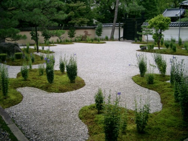廬山寺・源氏の庭の桔梗　散りはじめ　2003年7月31日　撮影：MKタクシー