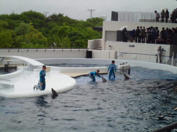 京都水族館のイルカスタジアム　2012年5月12日　撮影：MKタクシー