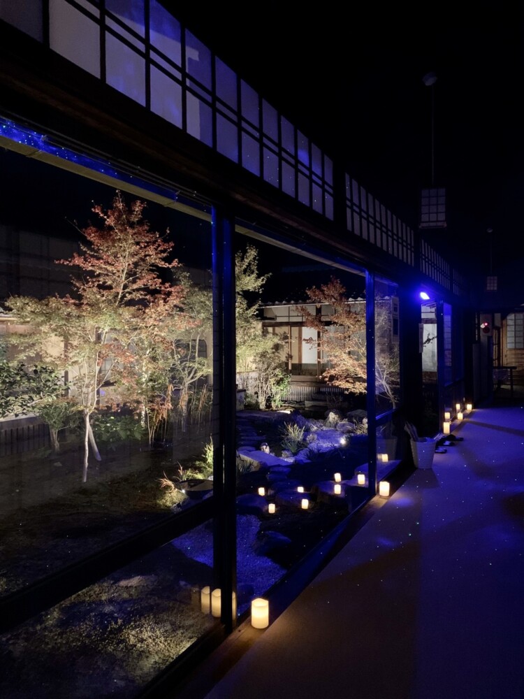 妙顕寺の紅葉ライトアップ　見頃　2019年11月25日　撮影：MKタクシー
