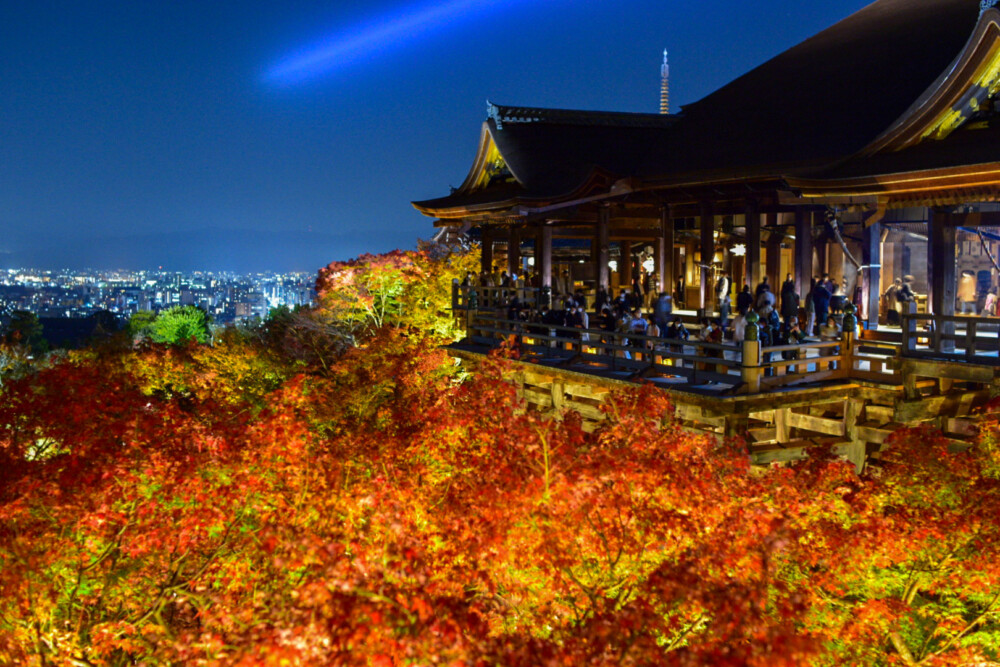 清水寺の紅葉ライトアップ　2021年11月18日　撮影：MKタクシー