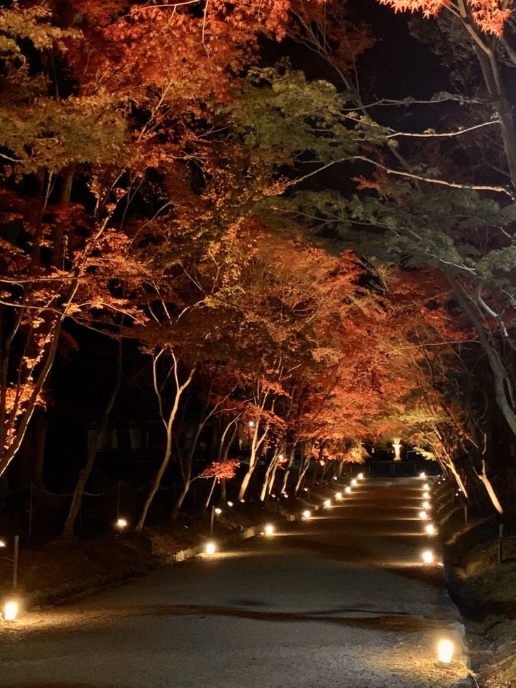 醍醐寺の紅葉ライトアップ　2019年11月26日　撮影：MKタクシー