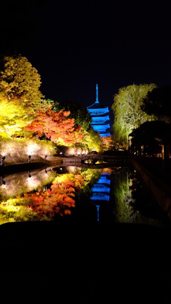 東寺・五重塔と紅葉ライトアップ　2020年11月14日　撮影：MKタクシー