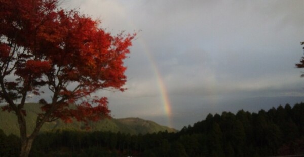 奥比叡ドライブウェイの紅葉と虹　見頃　2013年11月13日　撮影：MKタクシー