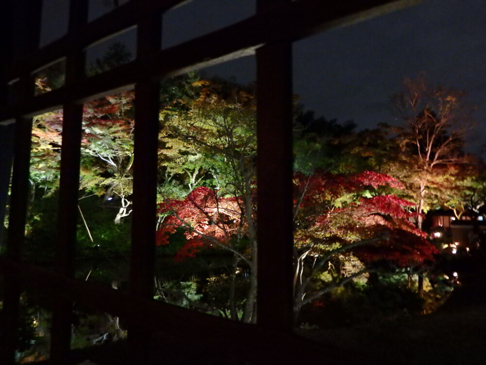 高台寺の紅葉ライトアップ　2016年11月9日　撮影：MKタクシー
