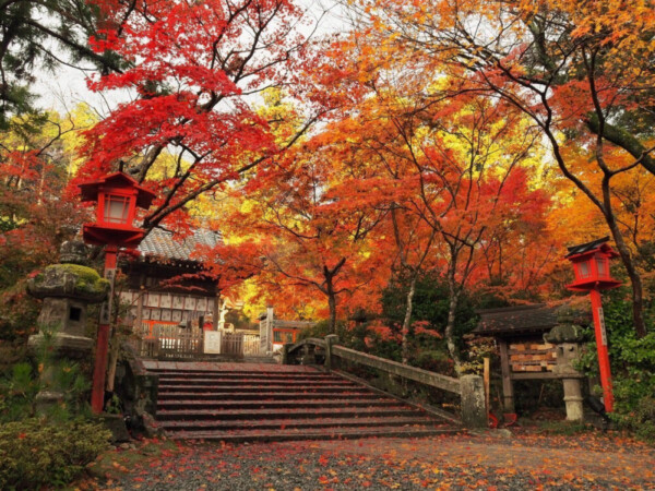 鍬山神社の石橋と紅葉　見頃　2016年11月11日　撮影：MKタクシー