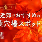 11月上旬から色づく！京都近郊でおすすめの紅葉穴場スポット18選