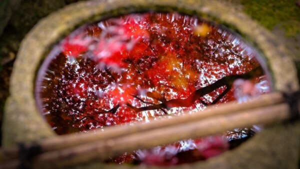 苗秀寺の手水鉢に移りこんだ紅葉　2020年11月9日　撮影：MKタクシー