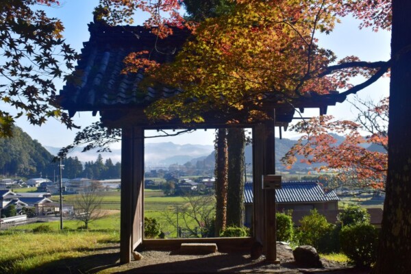 龍穏寺の紅葉 色づきはじめ 2019年11月12日 撮影:MKタクシー