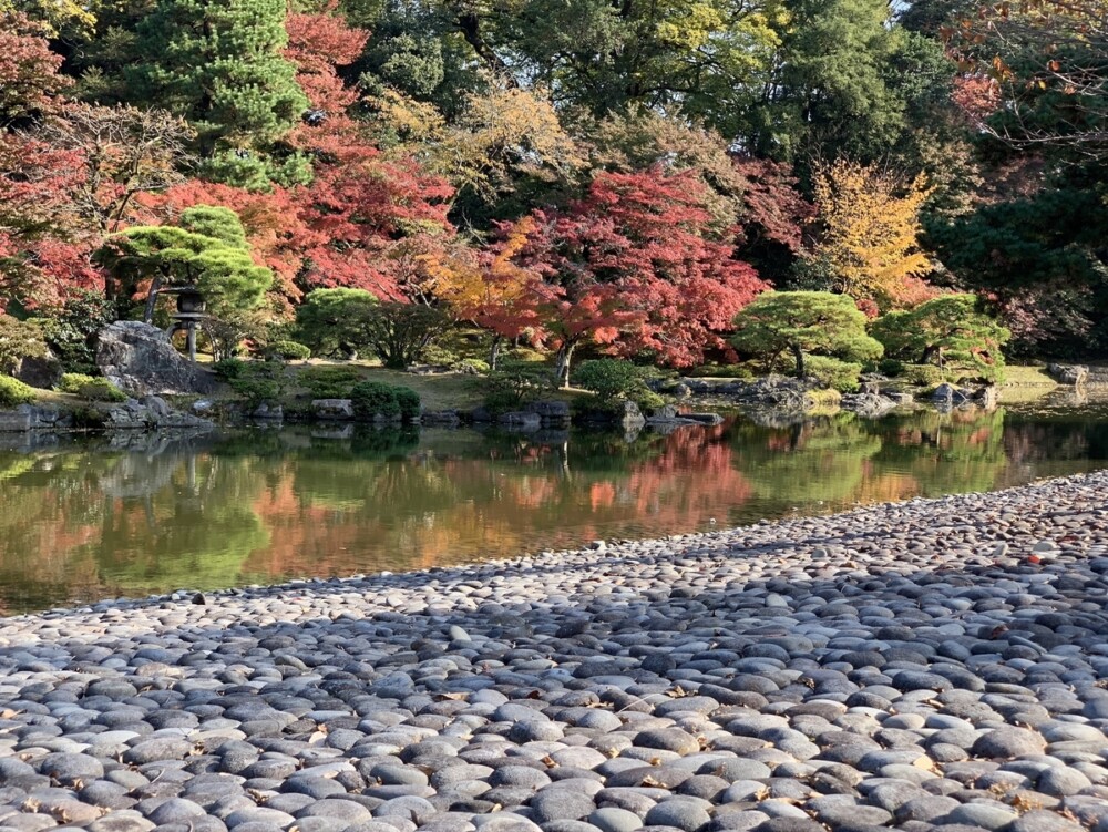京都仙洞御所・南池の紅葉と一升石の州浜　見頃　2020年11月18日　撮影：MKタクシー
