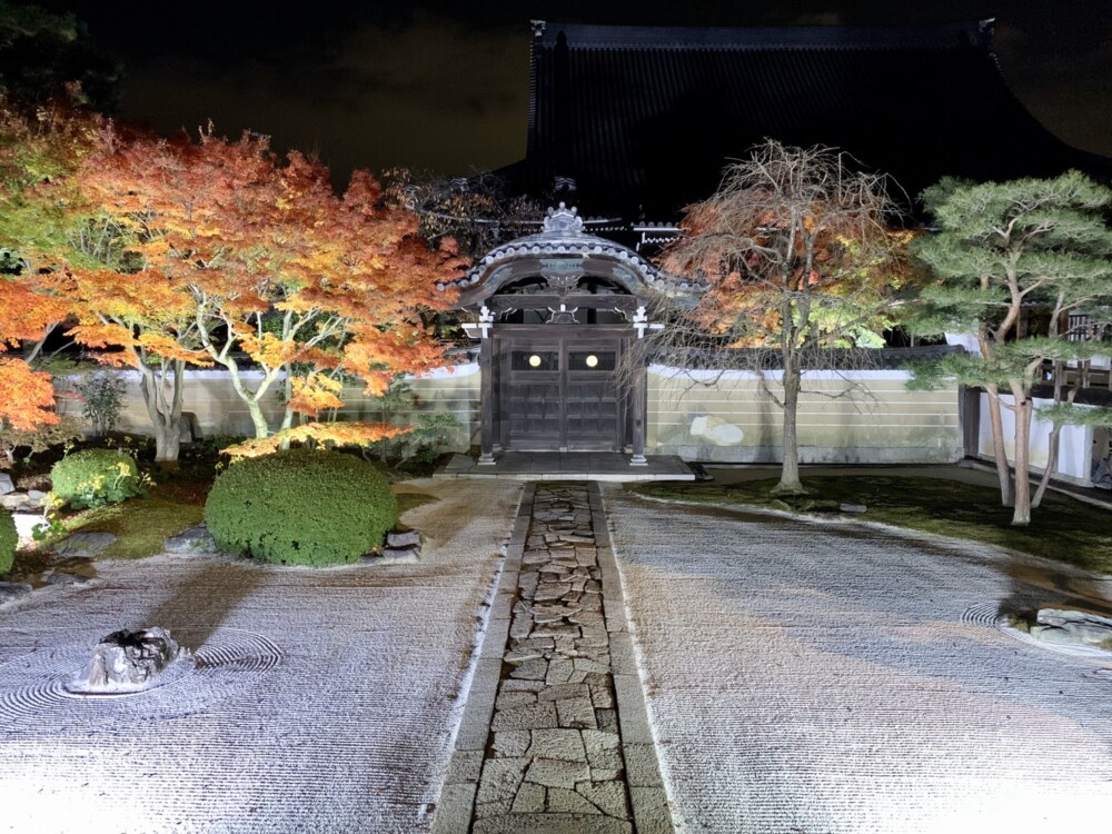 妙顕寺の紅葉ライトアップ　見頃　2019年11月25日　撮影：MKタクシー