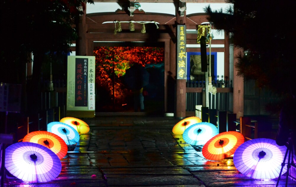 最近は開催されない本法寺の紅葉ライトアップ　2017年11月17日　撮影：MKタクシー