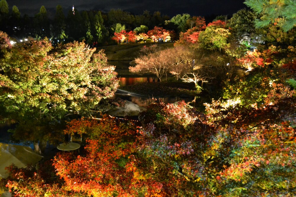 梅小路公園・朱雀の庭の紅葉ライトアップ　2017年11月19日　撮影：MKタクシー