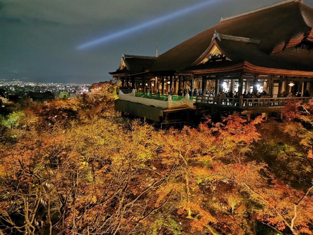 清水寺の紅葉ライトアップ　2020年11月27日　撮影：MKタクシー
