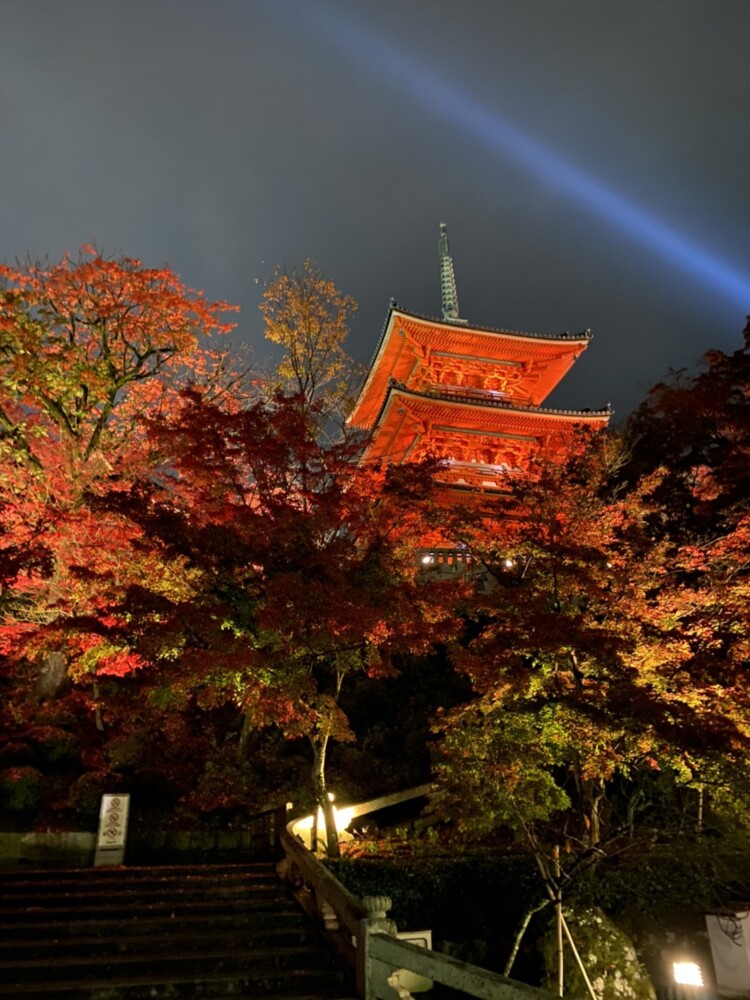 清水寺の三重塔と紅葉ライトアップ　2020年11月24日　撮影：MKタクシー