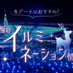 【2022～2023冬】夜デートにおすすめ！京都・滋賀のイルミネーション情報